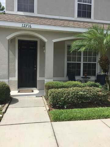 Country Brook, TAMPA, FL 33625