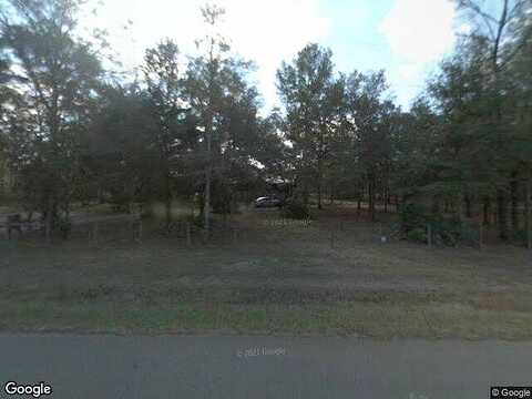 100Th, WILLISTON, FL 32696