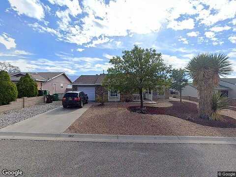 Gadwall, RIO RANCHO, NM 87144