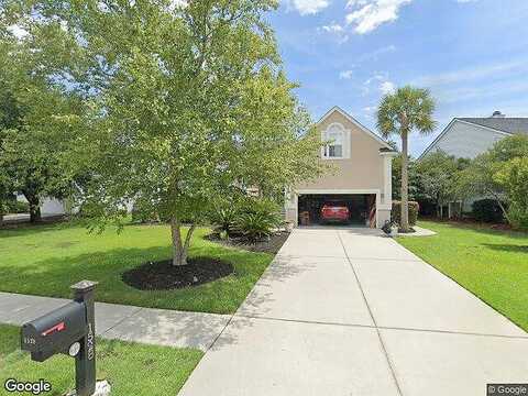 Carolina Jasmine, MOUNT PLEASANT, SC 29464