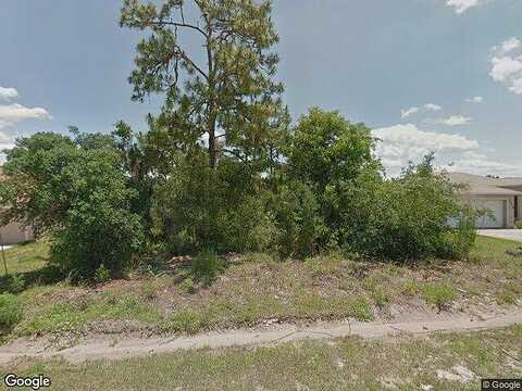 Shad, KISSIMMEE, FL 34759