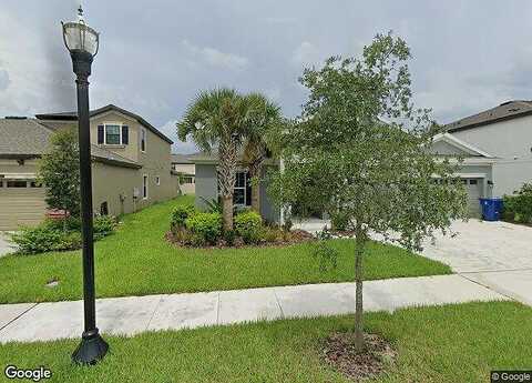 Emory Oak, LAND O LAKES, FL 34637