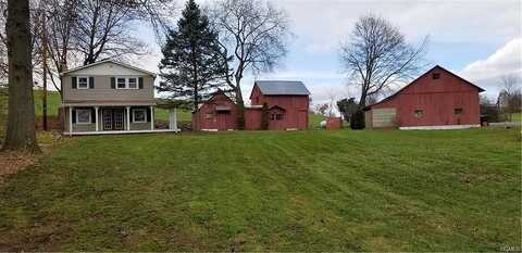 Meadow, CHESTER, NY 10918