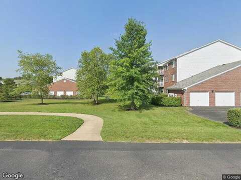 Callery, LOUISVILLE, KY 40299