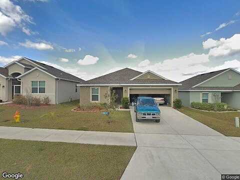 Water Lily, BROOKSVILLE, FL 34602