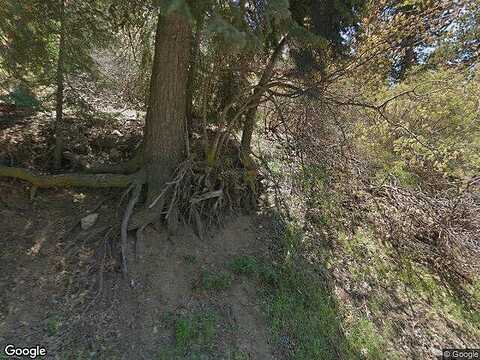 Live Oak, RUNNING SPRINGS, CA 92382