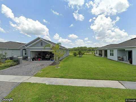 Borassus, NEW SMYRNA BEACH, FL 32168