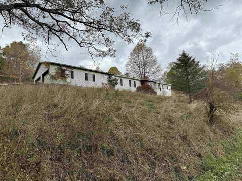 Middle Fork, BURTON, WV 26562