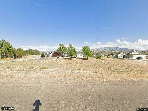 Flora, SPRING CREEK, NV 89815