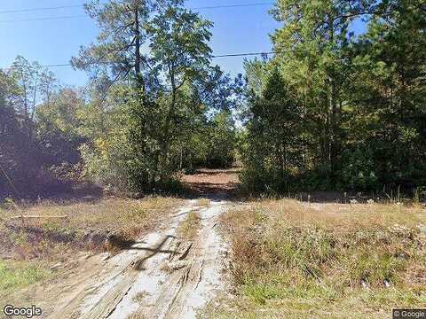 Blue Banks Loop, LELAND, NC 28451