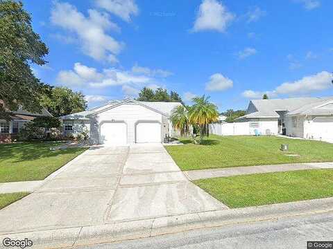 Hibiscus, PALM HARBOR, FL 34684