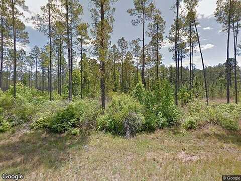 State Road 65, BRISTOL, FL 32321