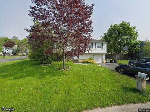 Gardenia, BALDWINSVILLE, NY 13027