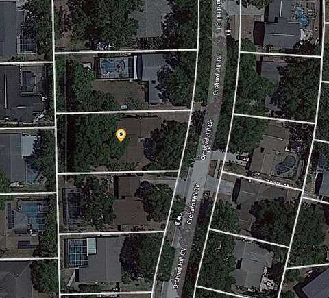 Orchard Hill, PALM HARBOR, FL 34684