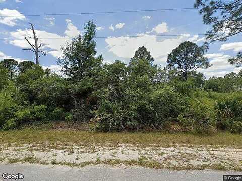 Wildcat, LAKE PLACID, FL 33852