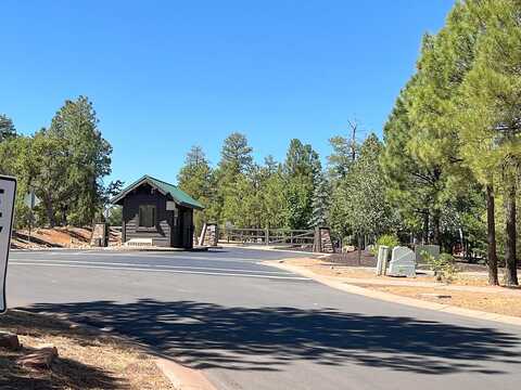 Sugar Pine, SHOW LOW, AZ 85901