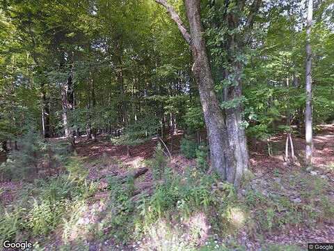 Drybrook, WEST SHOKAN, NY 12494