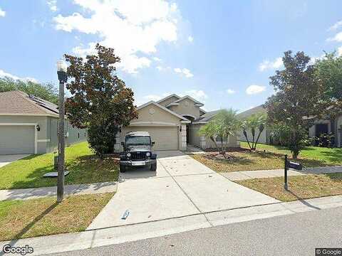 Sweet William, LAND O LAKES, FL 34639