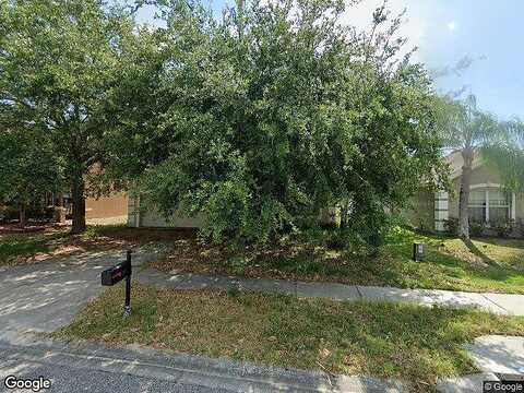 Sweet William, LAND O LAKES, FL 34639