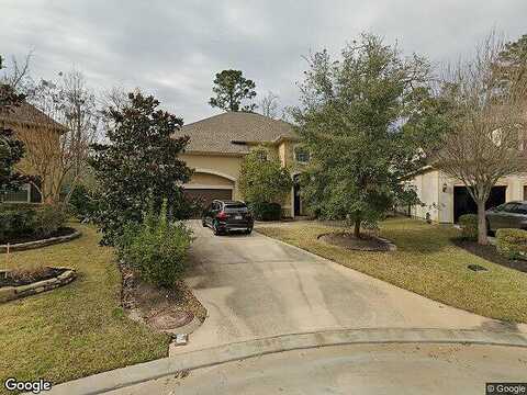 Swanwick, TOMBALL, TX 77375