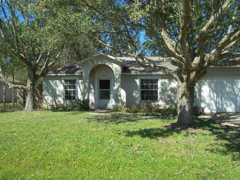 Buffalo View, PALM COAST, FL 32137