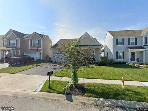 Aconite, BLACKLICK, OH 43004