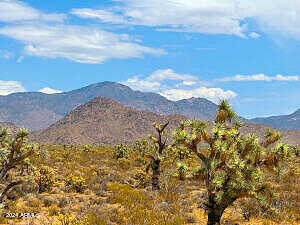 Tbd Jesse James Rd. 80 Acres -- -, Lake Havasu City, AZ 86406