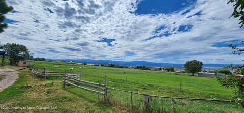 264 Ingersoll Ln, Silt, CO 81652