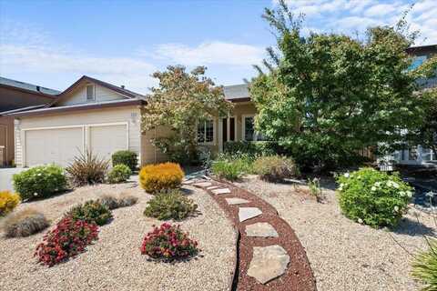 8729 Holly Leaf Drive, Windsor, CA 95492