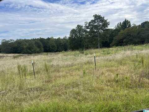 14 Acres+/- COUNTY ROAD 65, ROANOKE, AL 36274