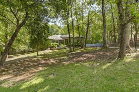 105 Deer Tract Drive, Little Mountain, SC 29075