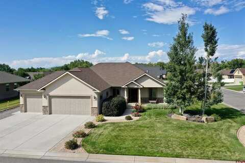 63109 Lavender Circle, Montrose, CO 81403