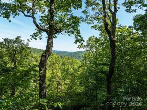 Lot 25 Panther Mountain Road, Zirconia, NC 28790