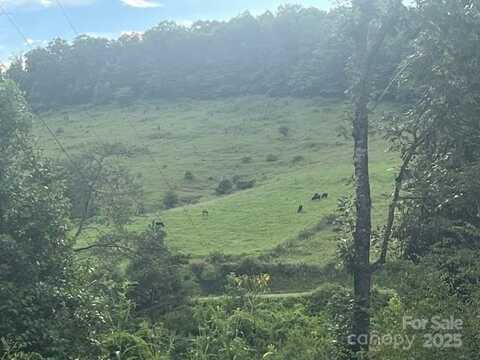 22 Fern Gully None, Marshall, NC 28753