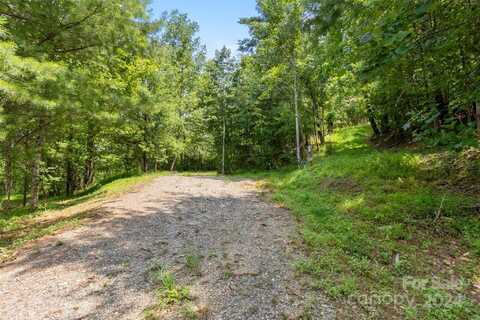 22 Fern Gully None, Marshall, NC 28753