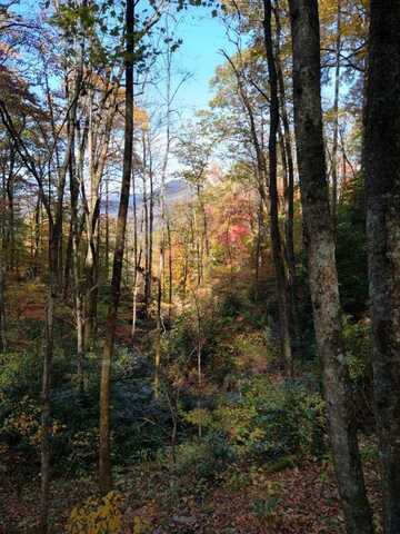 EVERGREEN TRAIL, Franklin, NC 28734