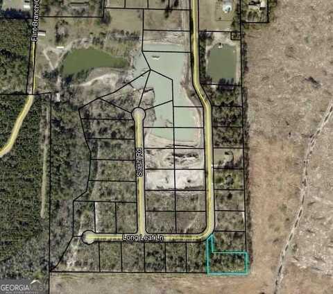 Lot 16 & 17 Long Leaf, Jesup, GA 31545