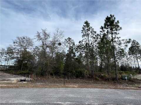 Lot 16 & 17 Long Leaf Lane, Jesup, GA 31545