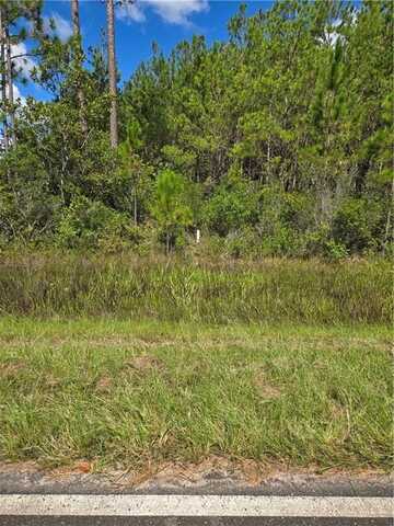 0 Swamp Road, Waycross, GA 31503