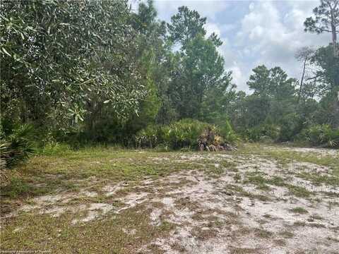 3259 Forrest View Avenue, Lake Placid, FL 33852