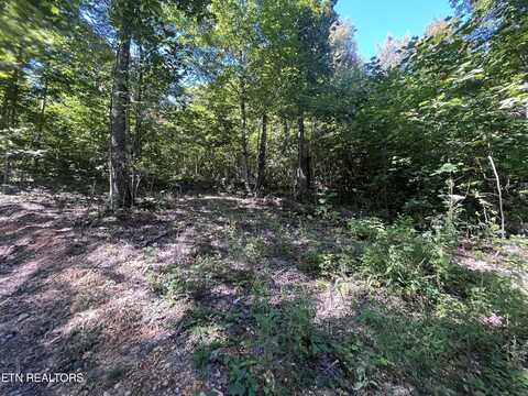 Little Sycamore Rd, Tazewell, TN 37879