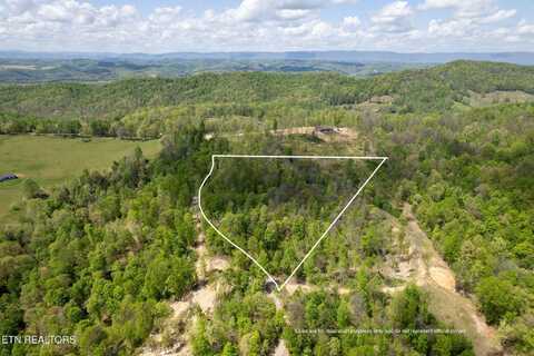 Little Sycamore Rd, Tazewell, TN 37879