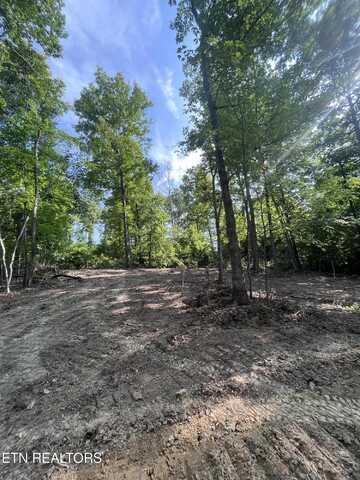 Little Sycamore Rd, Tazewell, TN 37879