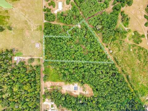 Tract 2 Woodchuck Road, Winnsboro, TX 75686