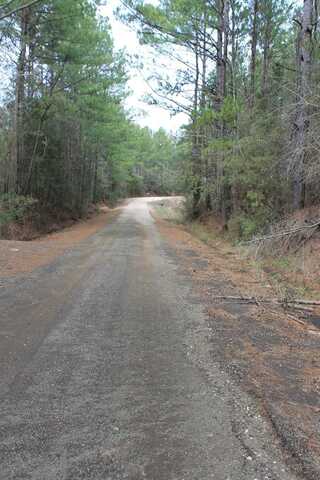 Lot 28 County Road 403, San Augustine, TX 75972