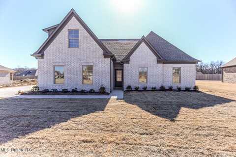 6537 Carmel Pointe, Walls, MS 38680