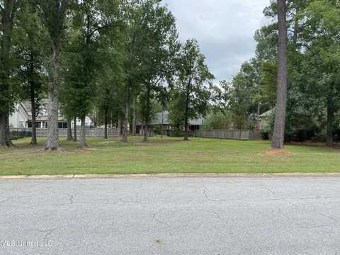 81 Grand View Circle, Brandon, MS 39047