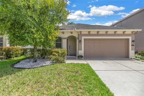 11405 QUIET FOREST DRIVE, TAMPA, FL 33635