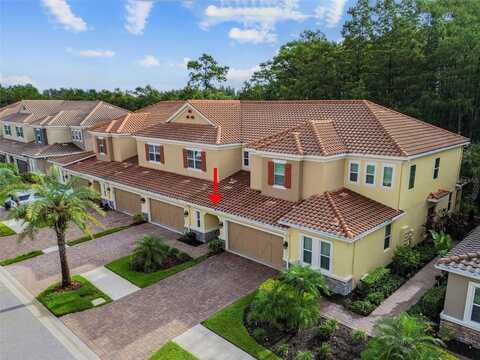 12311 TERRACINA CHASE COURT, TAMPA, FL 33625