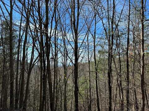 5 lots Ali Drive, HAYESVILLE, NC 28904